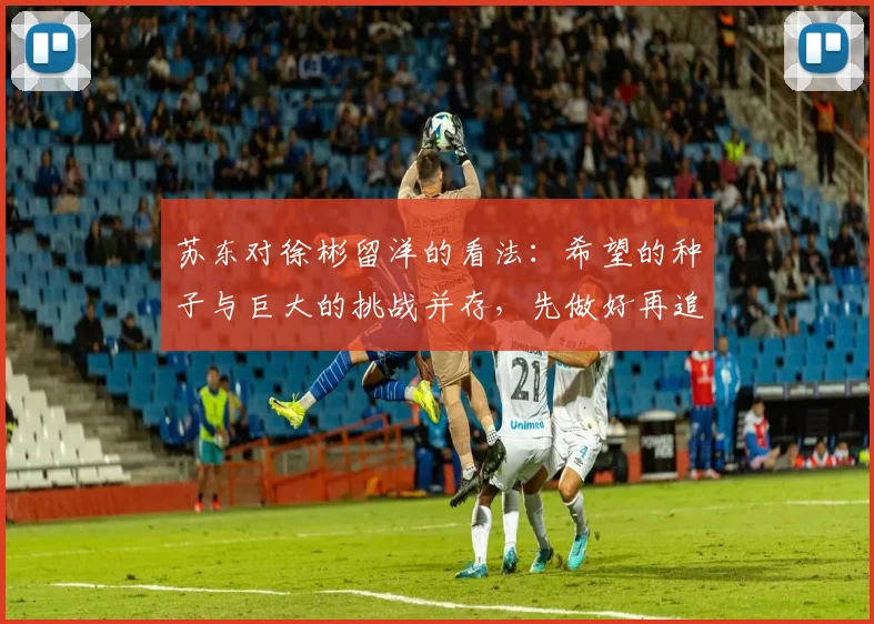 苏东对徐彬留洋的看法：希望的种子与巨大的挑战并存，先做好再追求完美