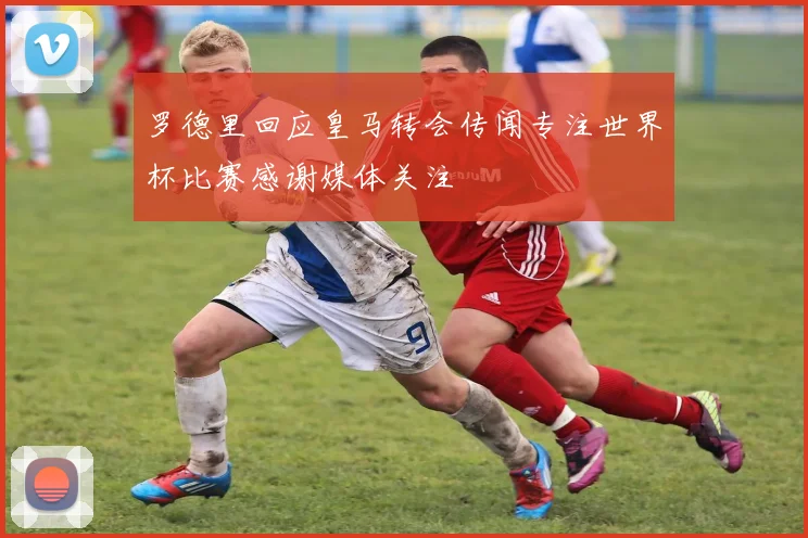 罗德里回应皇马转会传闻专注世界杯比赛感谢媒体关注